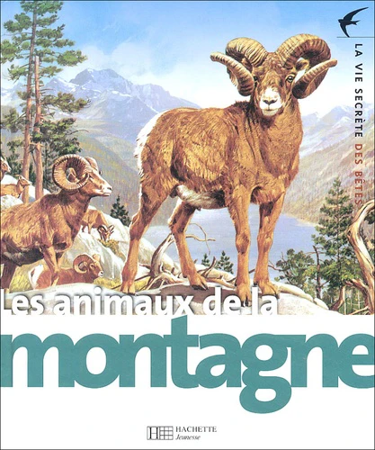 Image du produit 5