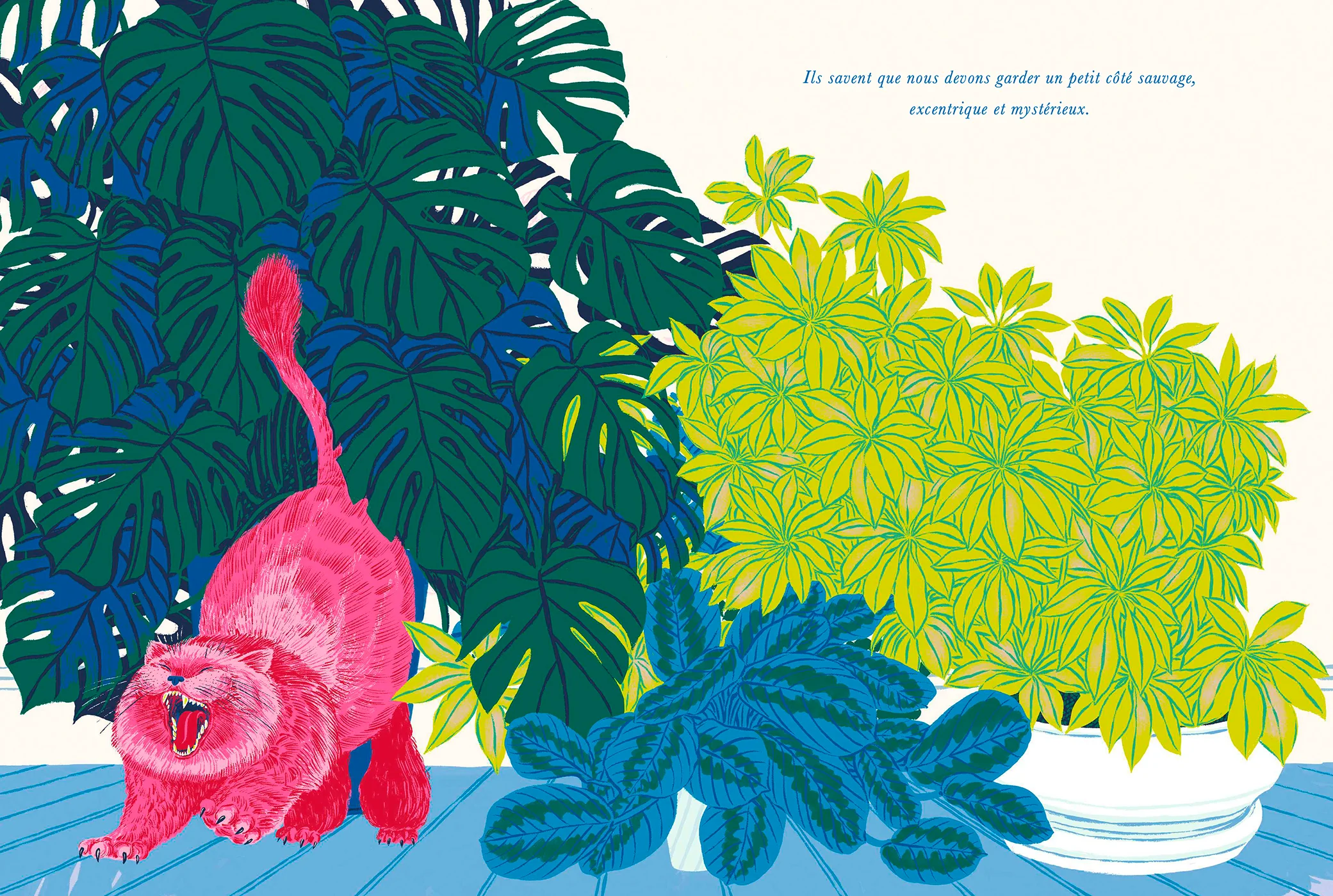 Image du produit 21