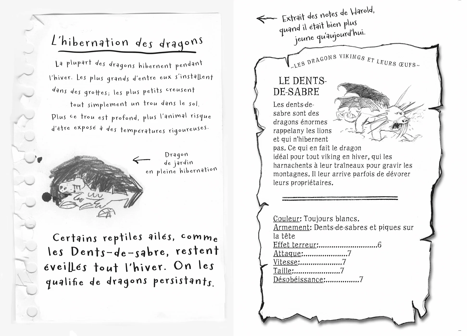 Image du produit 15