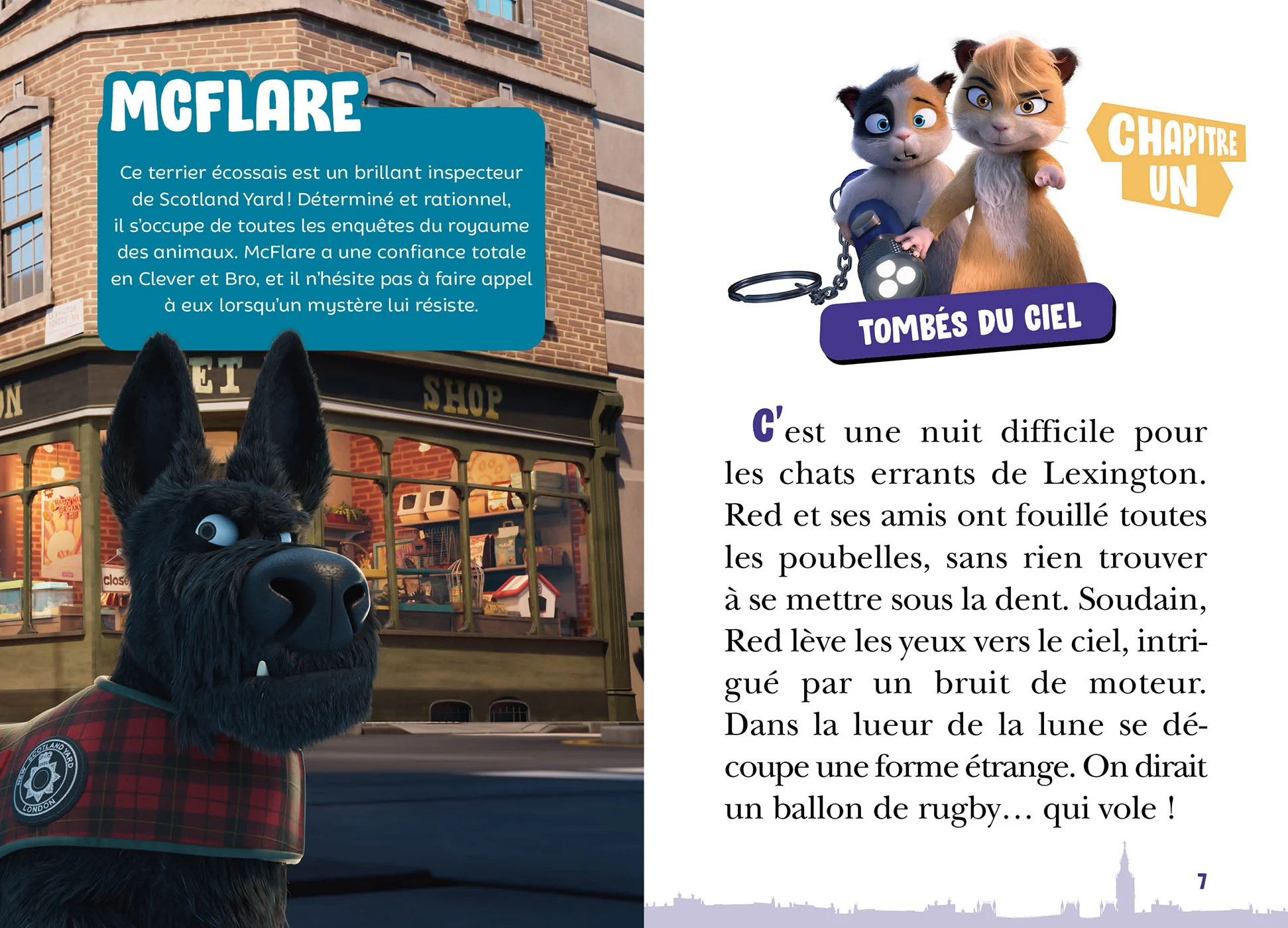 Image du produit 14
