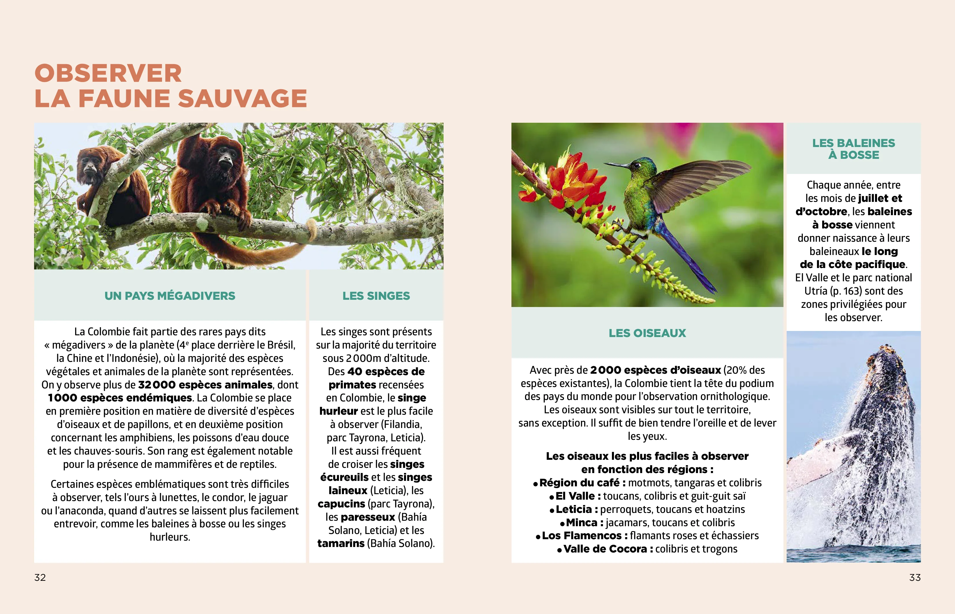 Image du produit 18