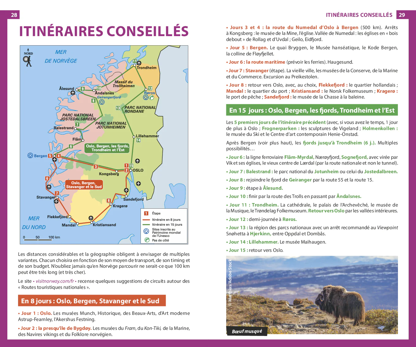 Image du produit 25