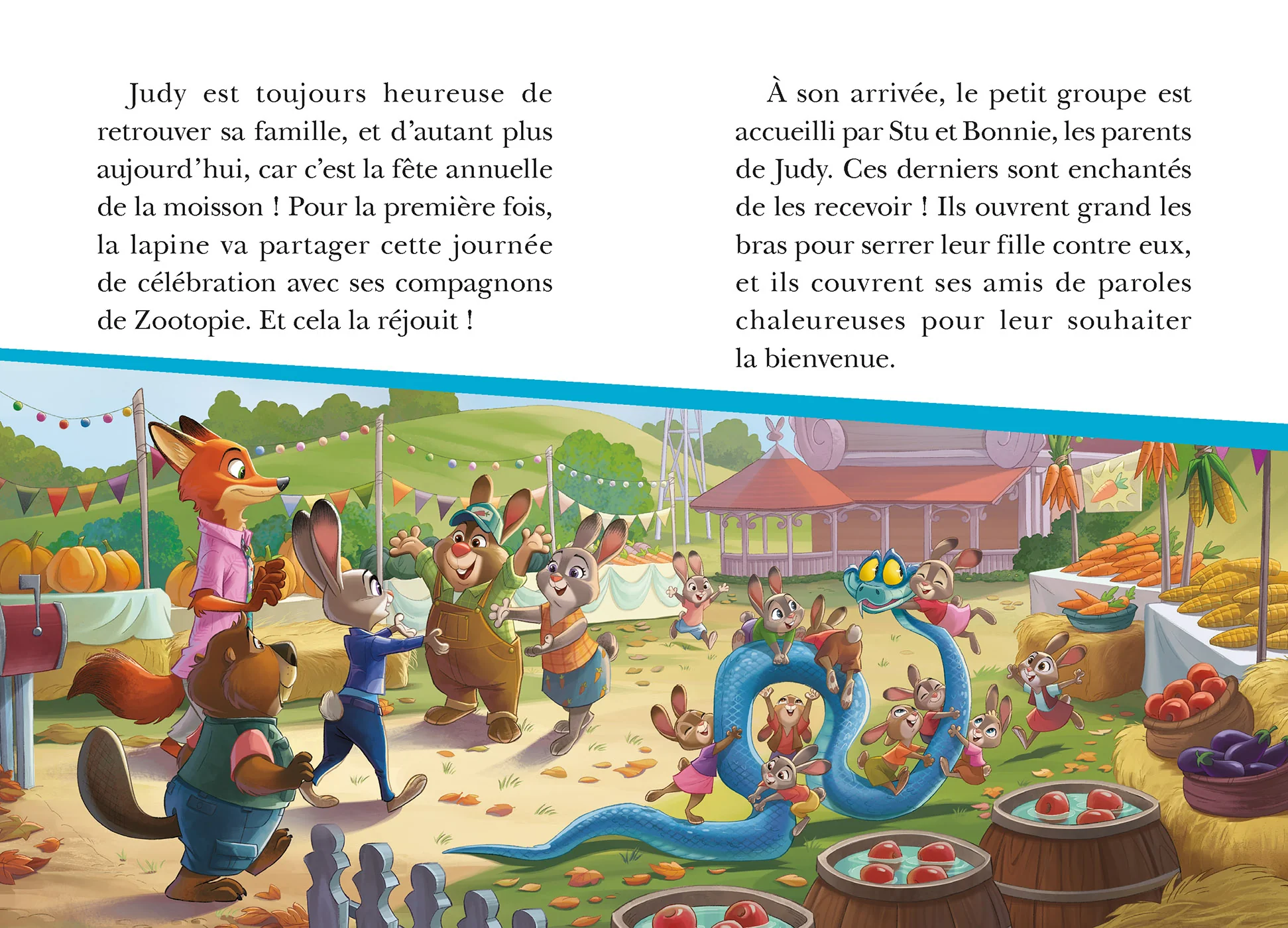 Image du produit 11