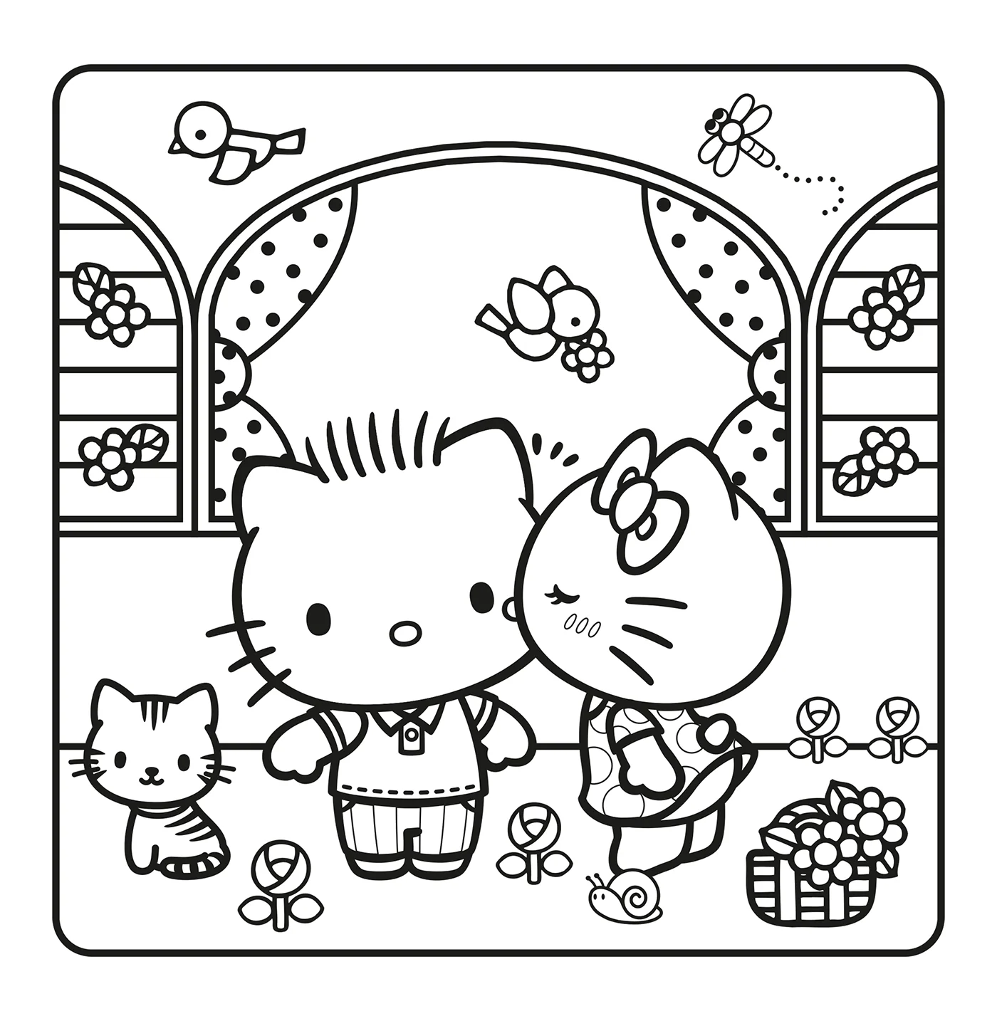 Image du produit 12
