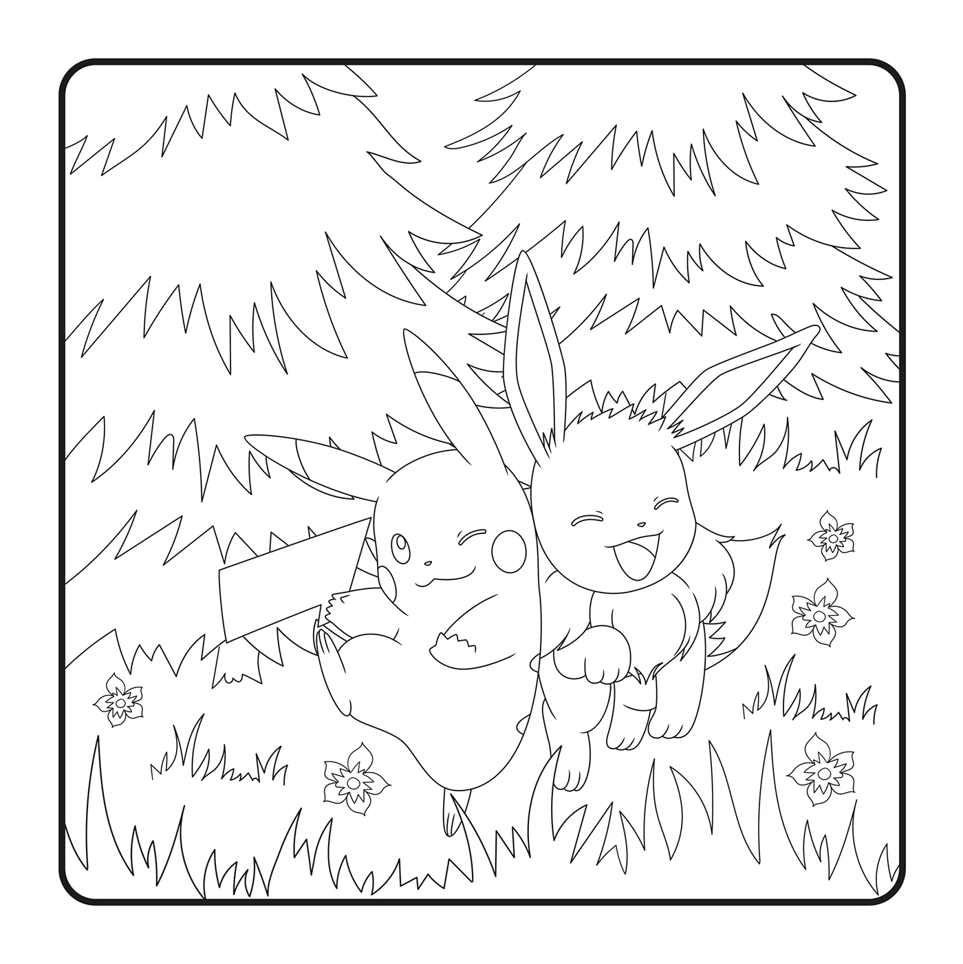 Image du produit 11