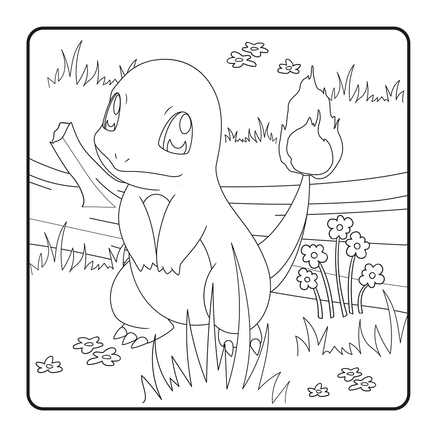 Image du produit 12