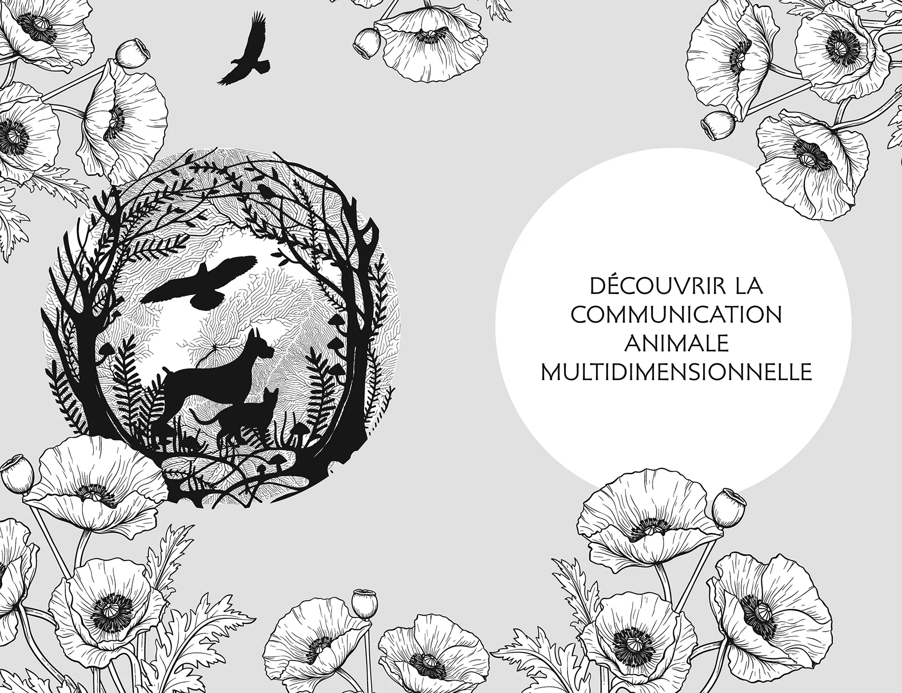 Image du produit 17