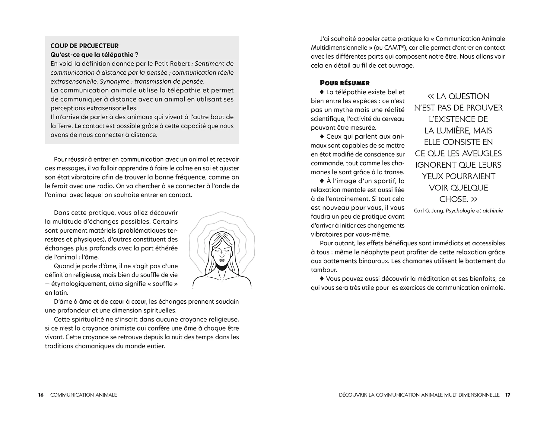 Image du produit 19