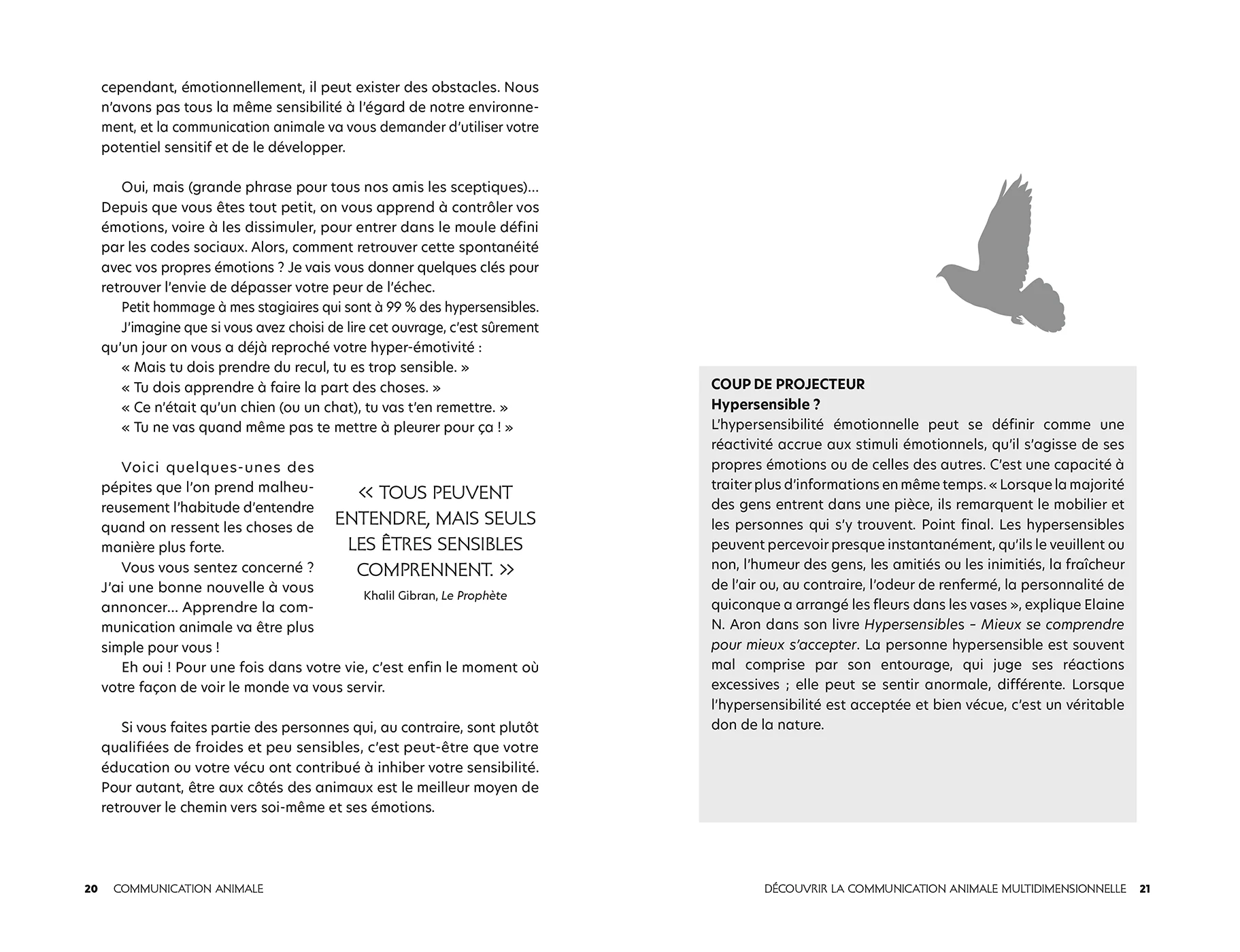 Image du produit 21