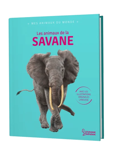 Image du produit 9
