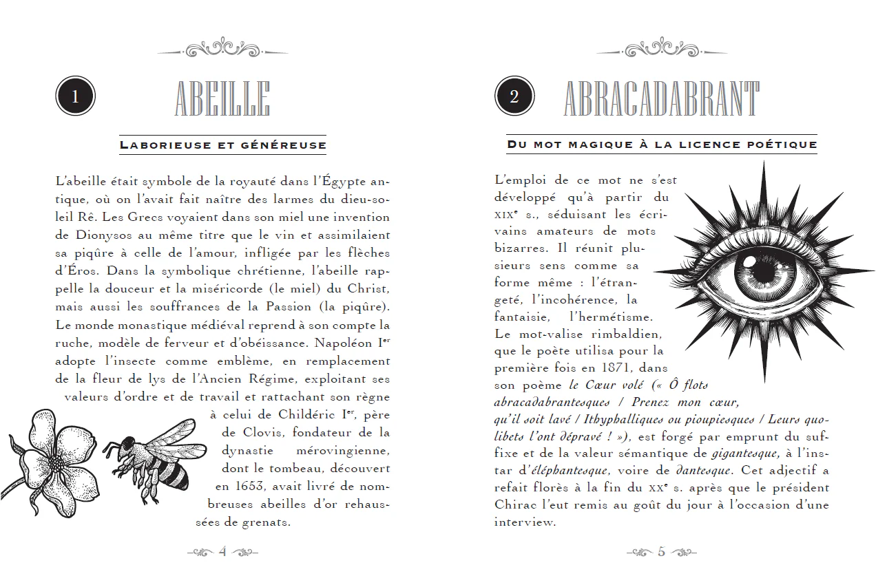 Image du produit 20