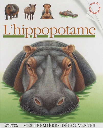 Image du produit 5