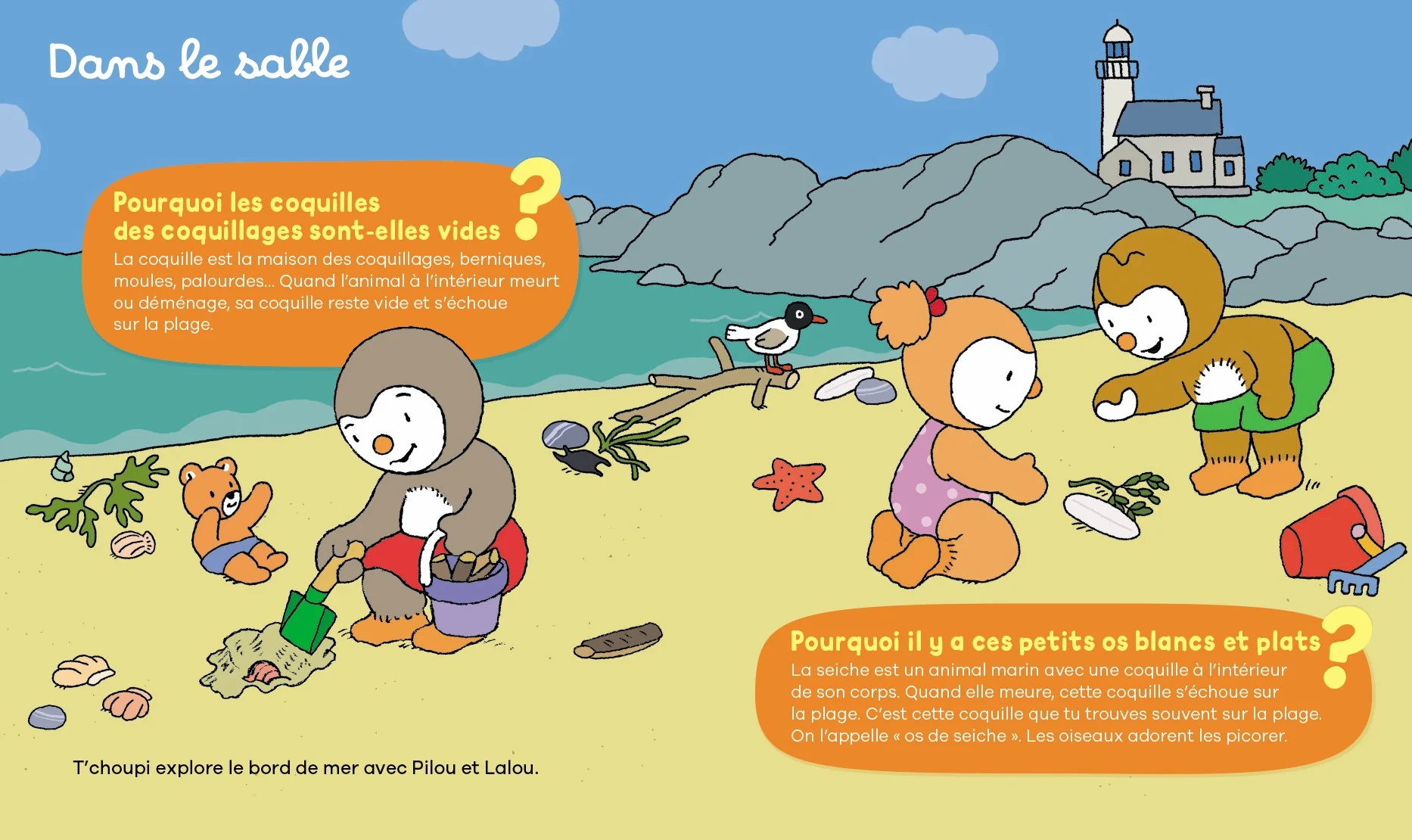 Image du produit 7