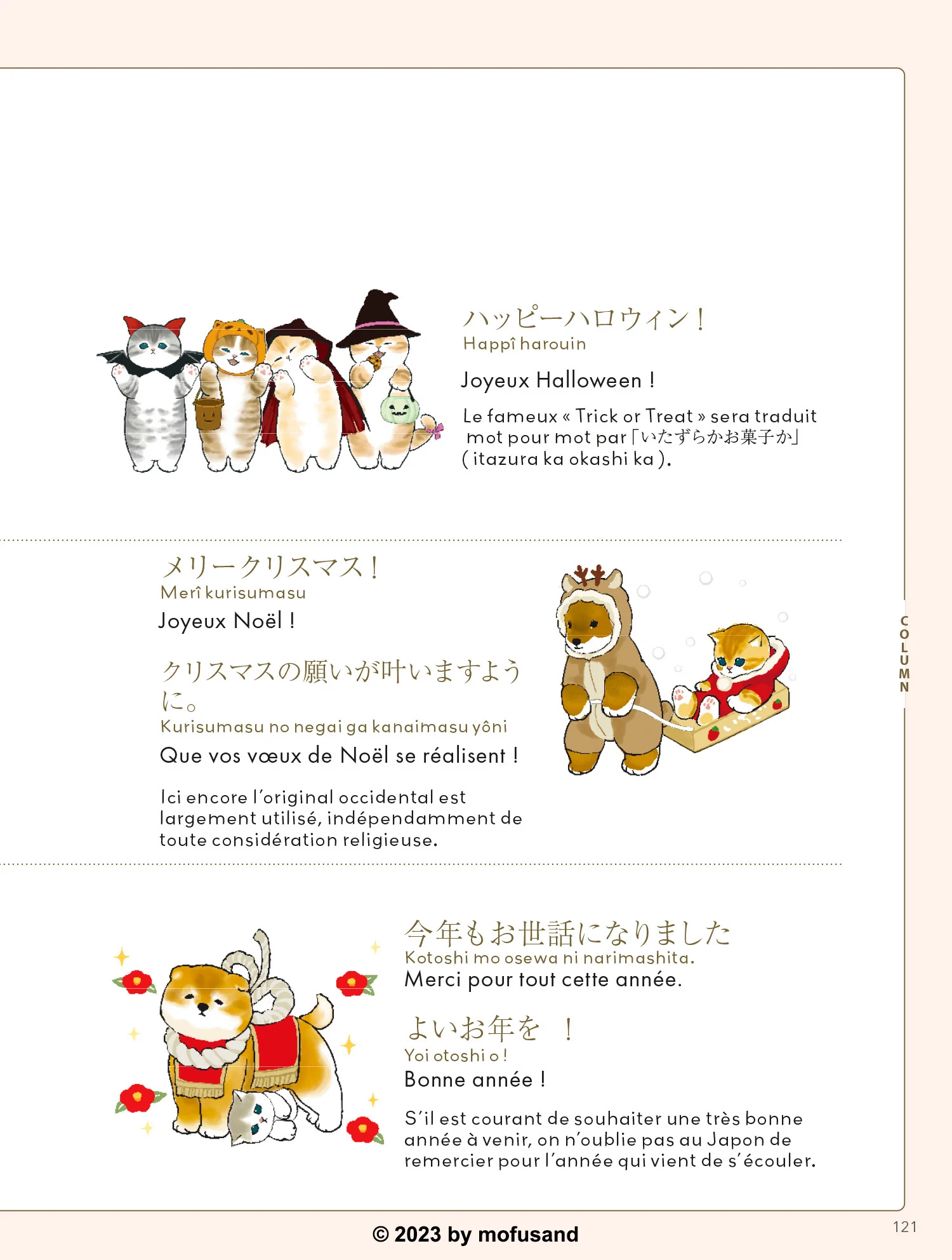 Image du produit 15