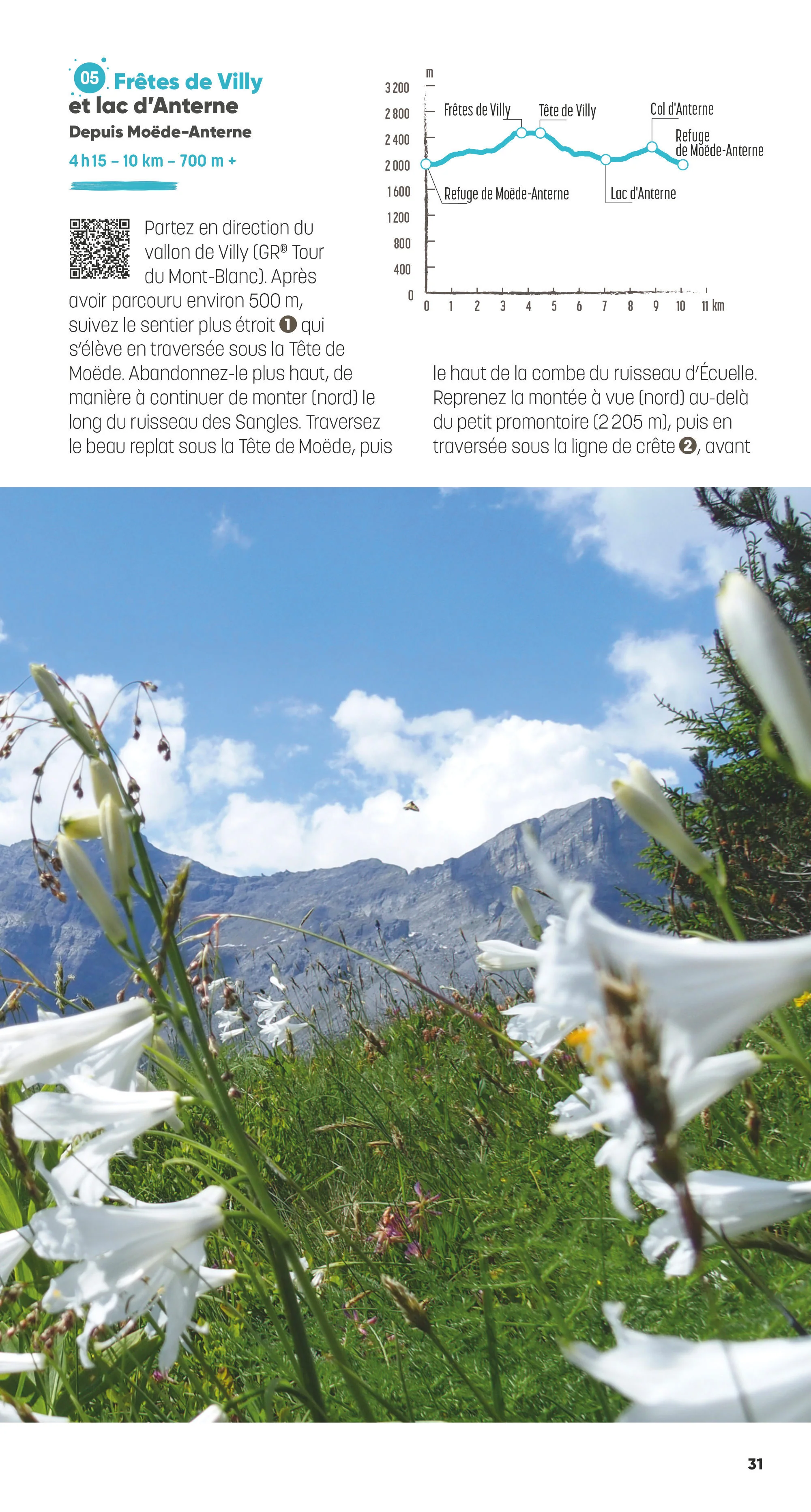 Image du produit 10