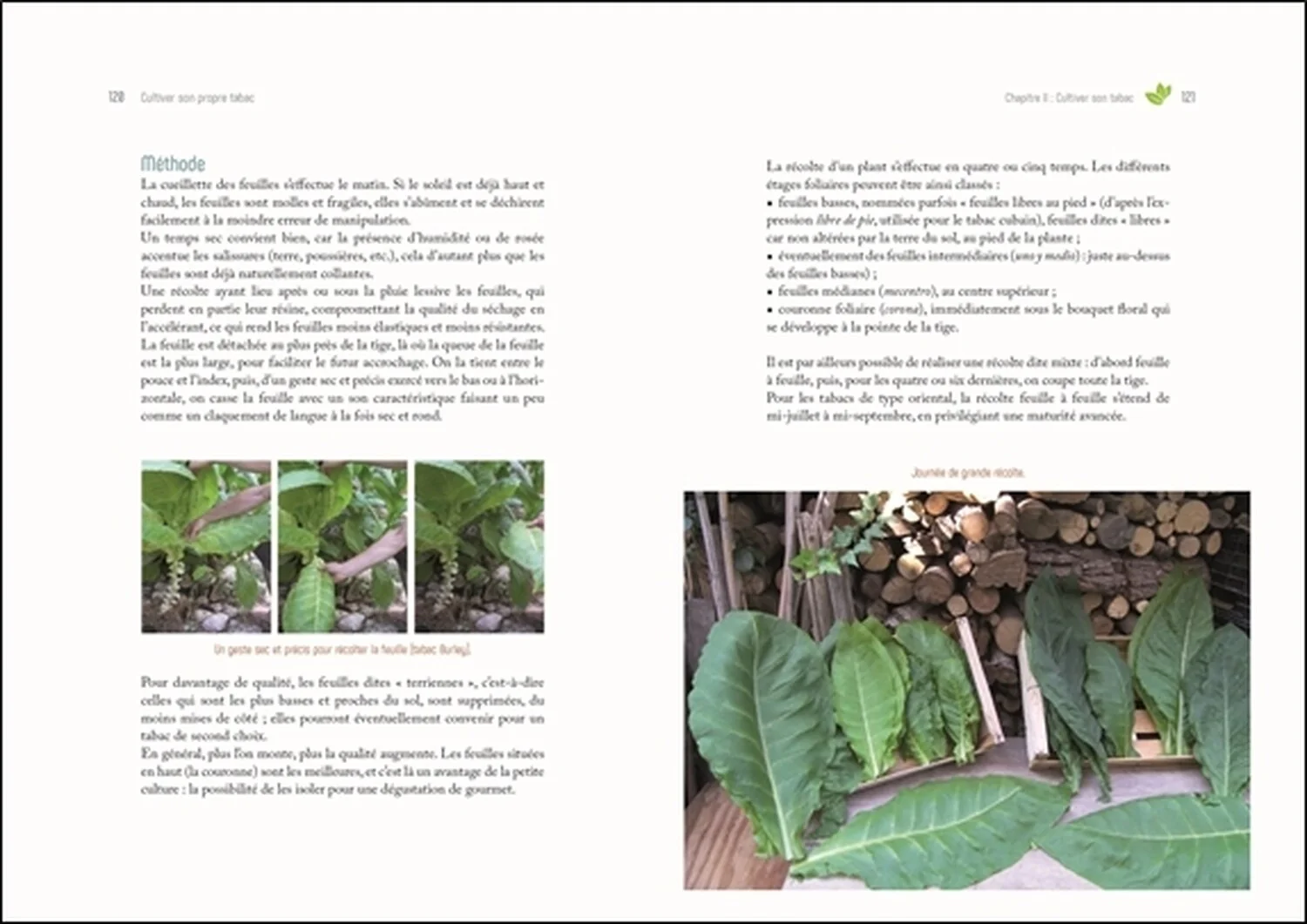 Image du produit 29
