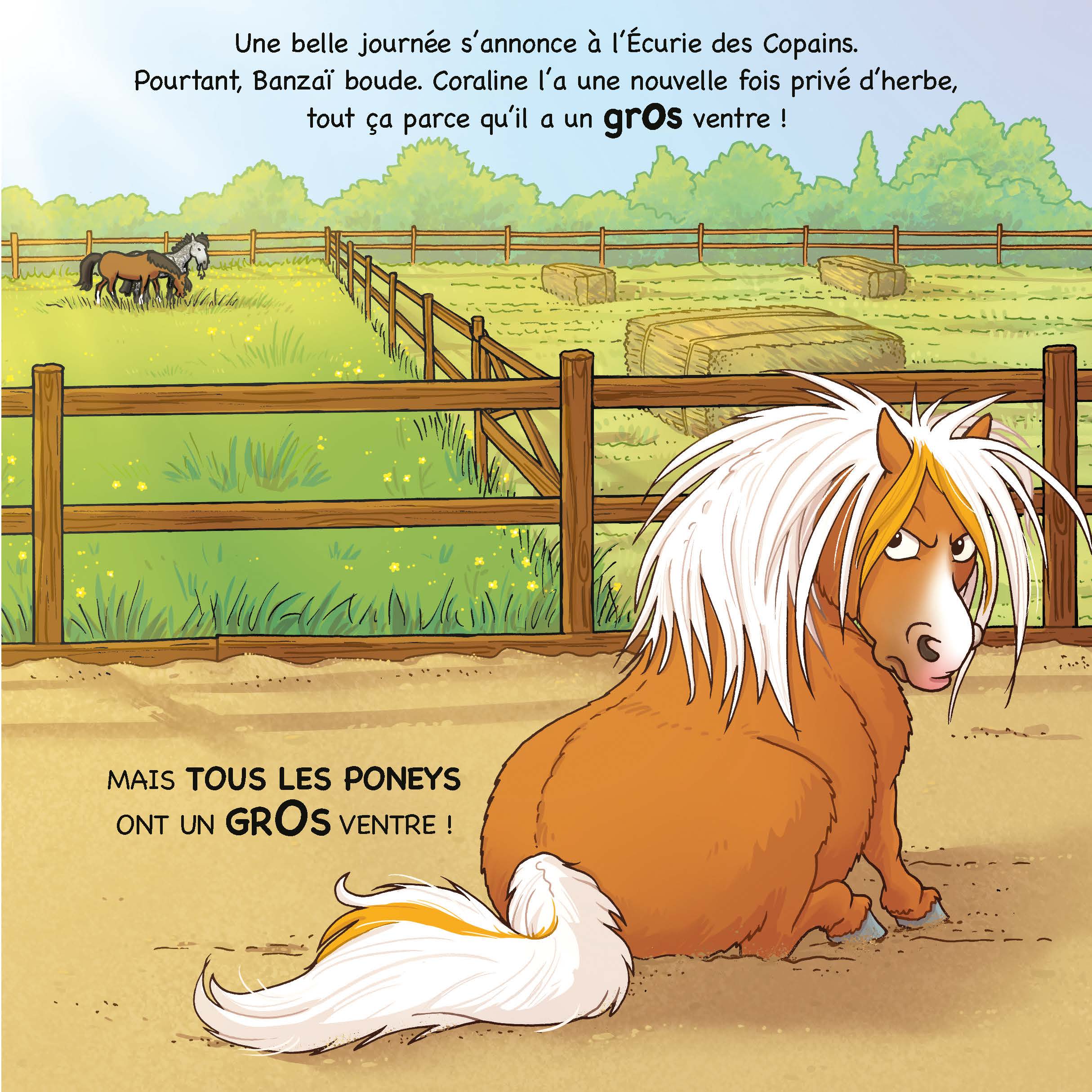 Image du produit 22
