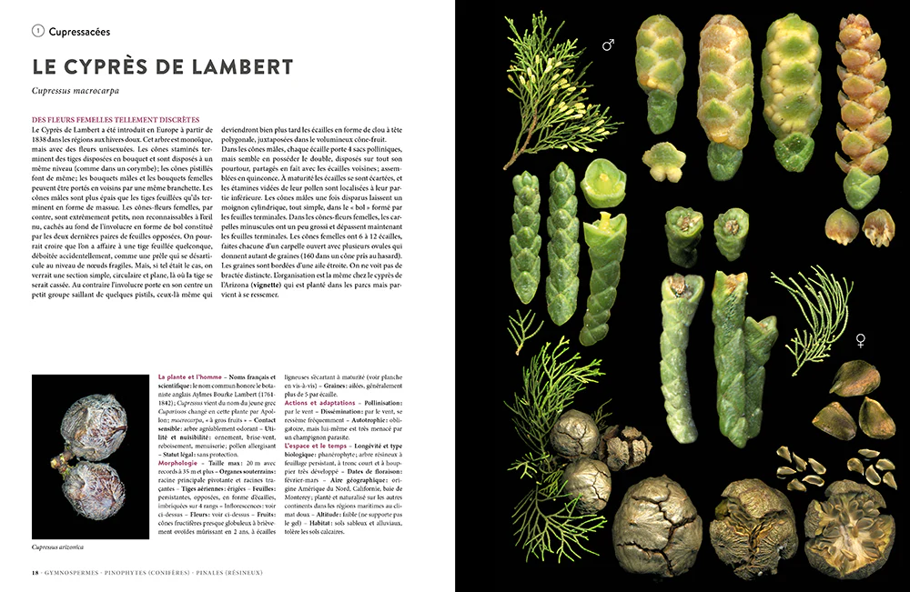 Image du produit 25