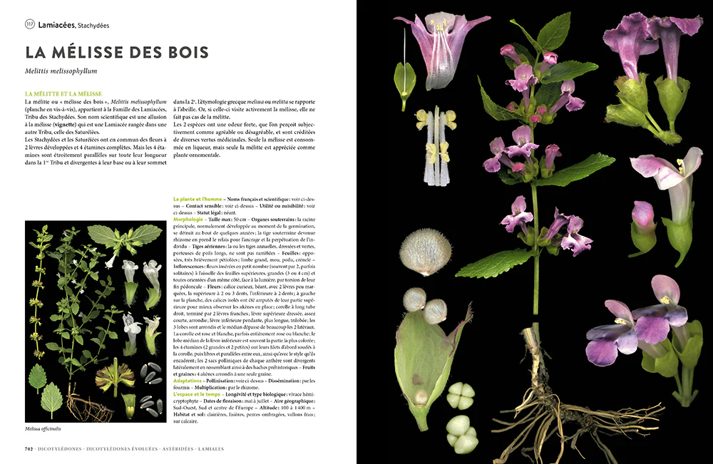 Image du produit 33