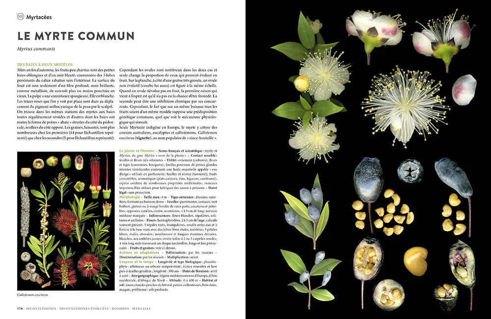 Image du produit 9