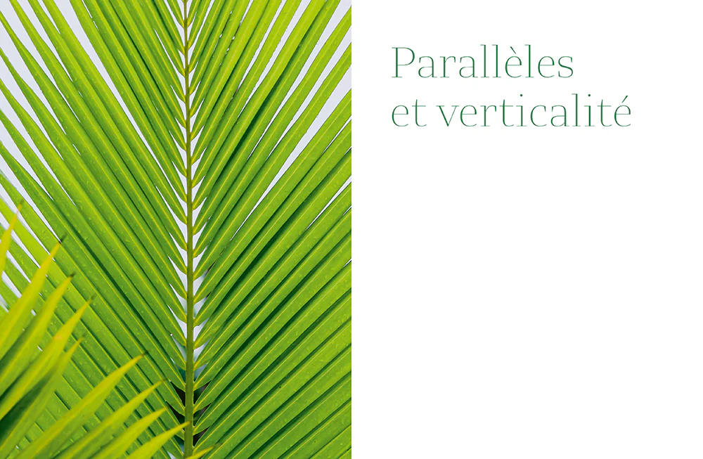 Image du produit 21