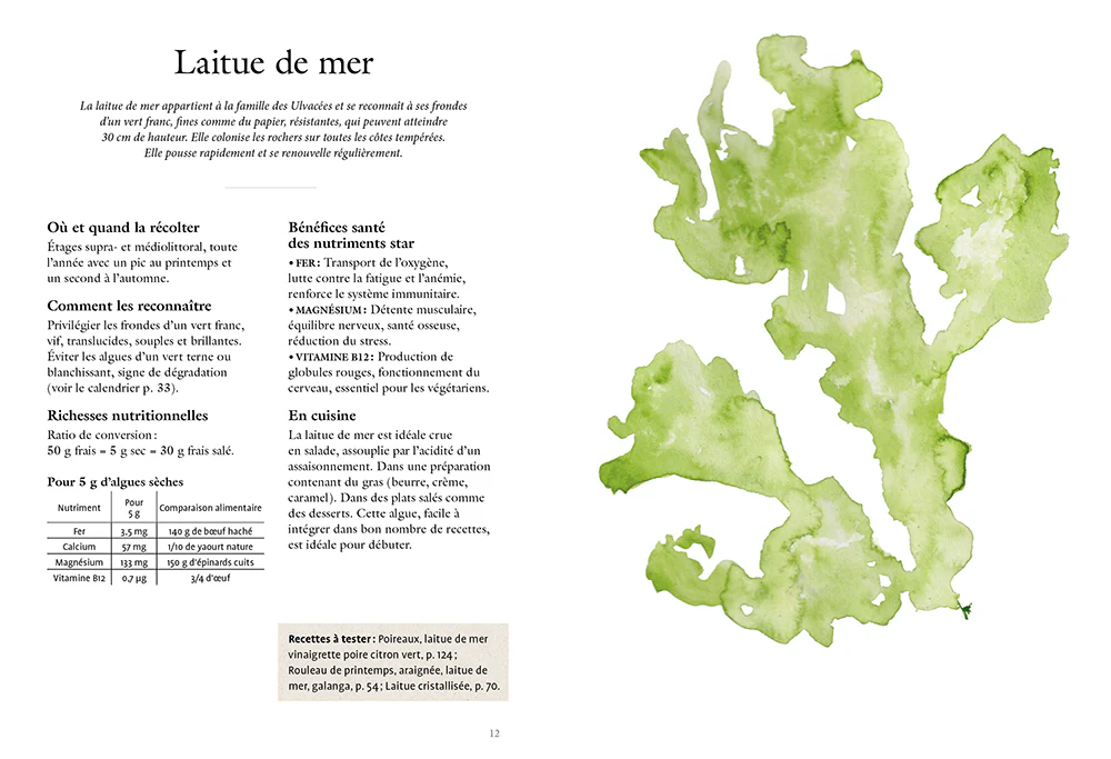 Image du produit 9