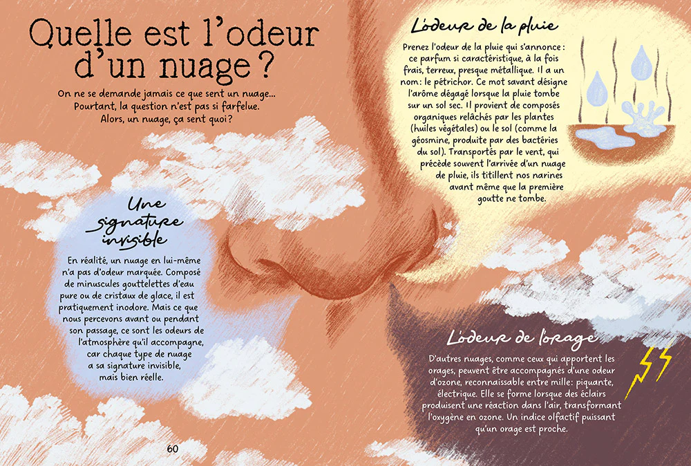 Image du produit 24