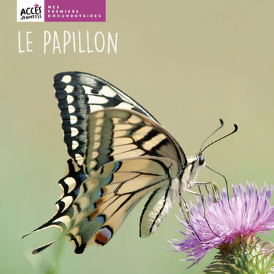 Image du produit 9