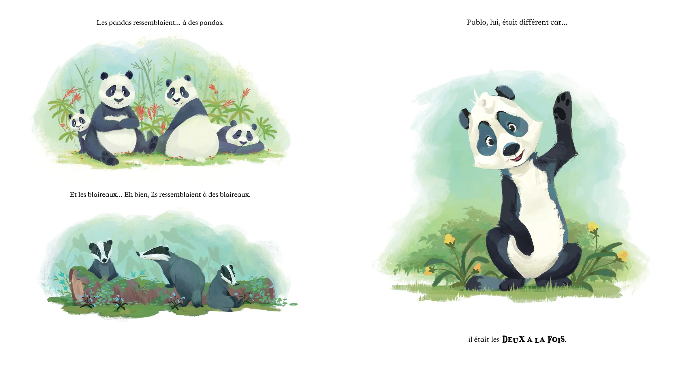 Image du produit 12