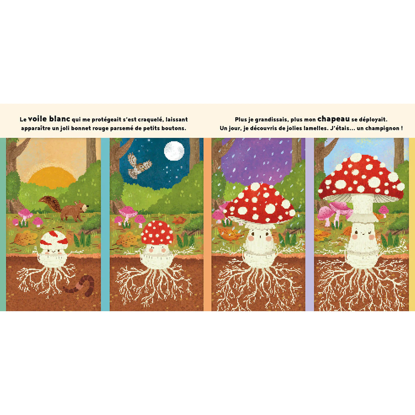 Image du produit 9