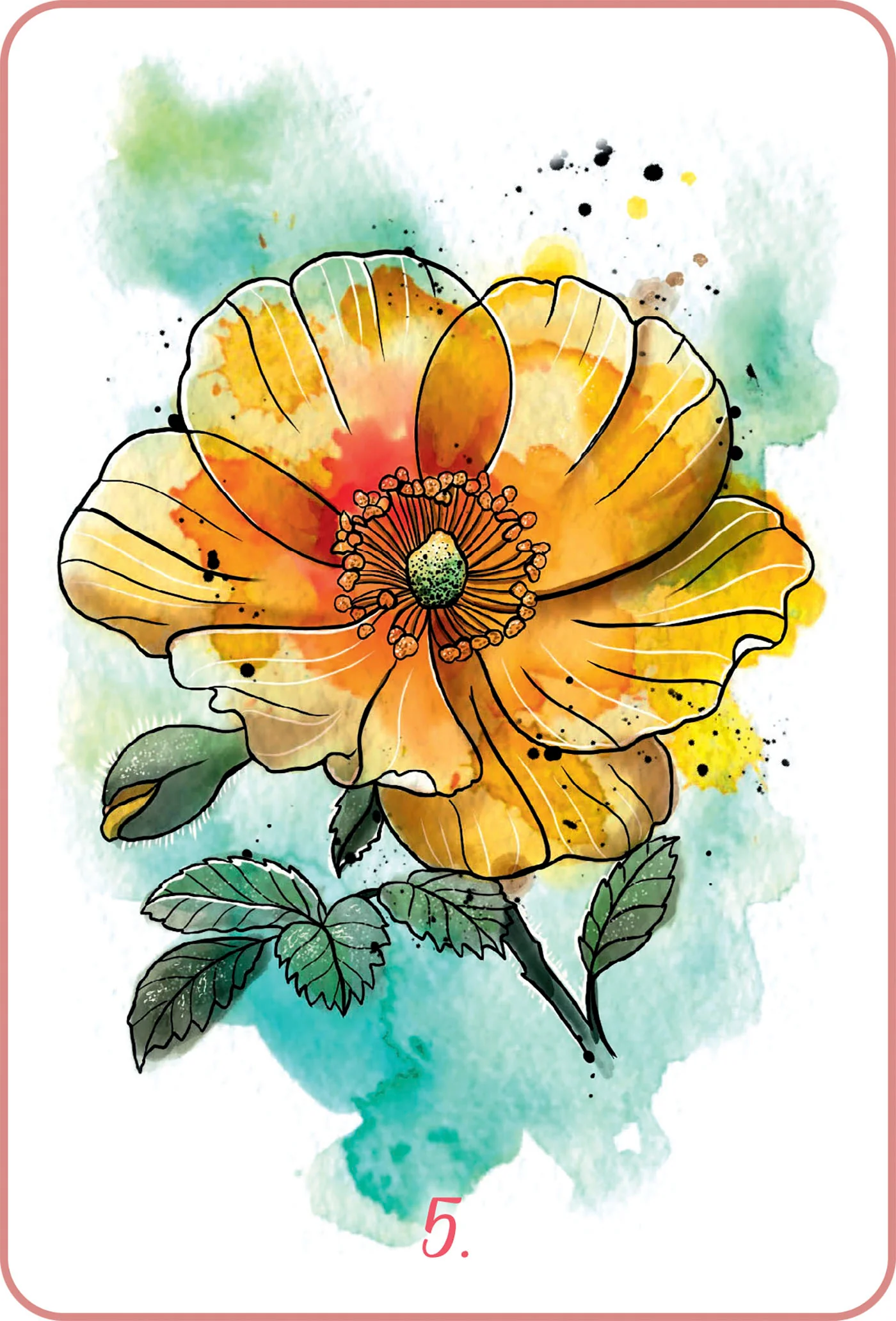 Image du produit 19
