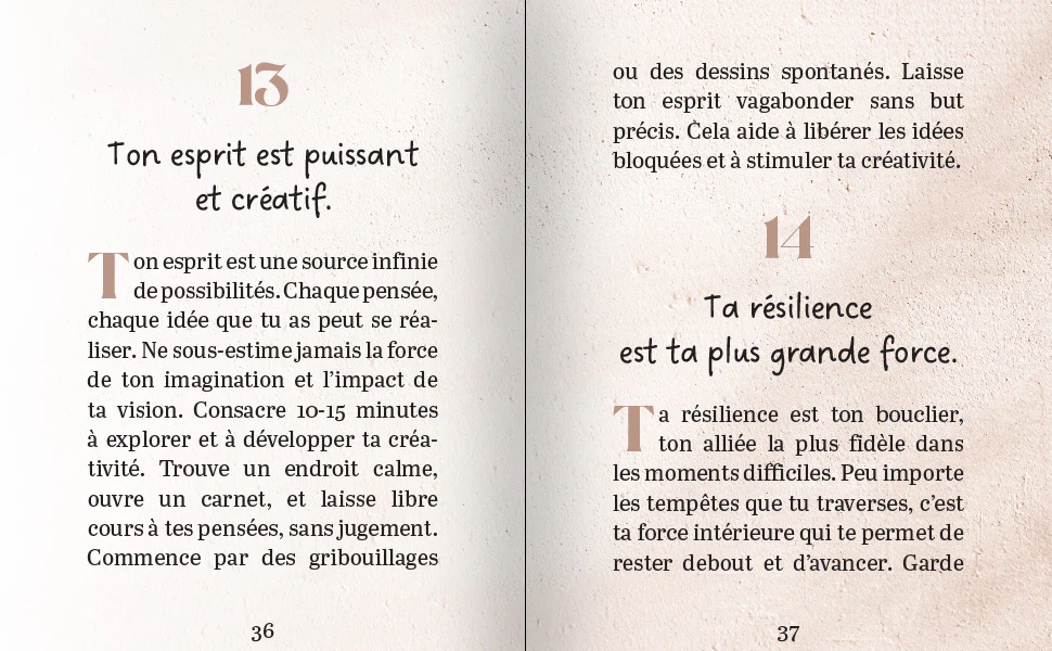 Image du produit 106