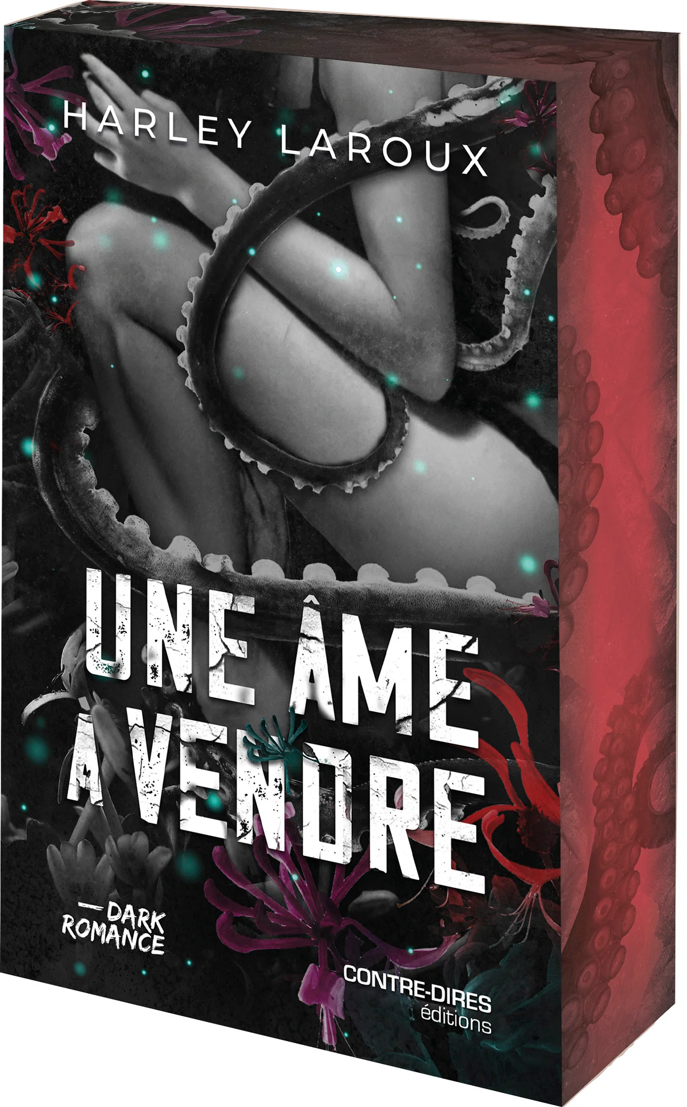 Image du produit 12
