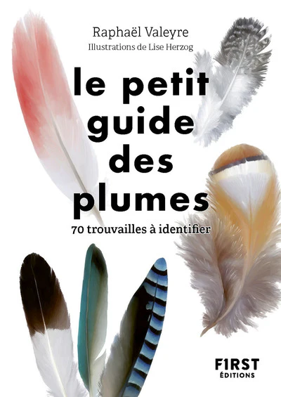 Image du produit 16