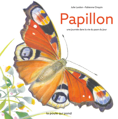 Image du produit 16