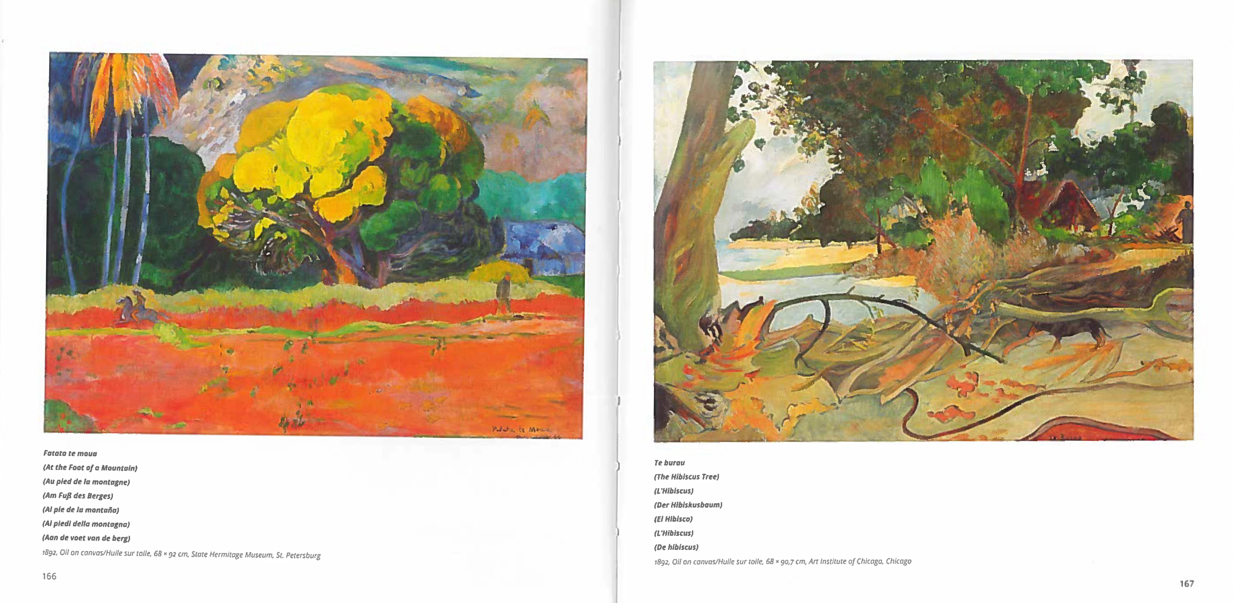 Image du produit 14