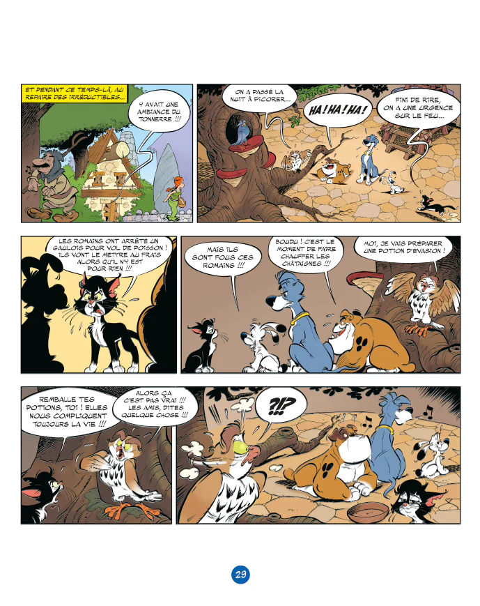 Image du produit 13