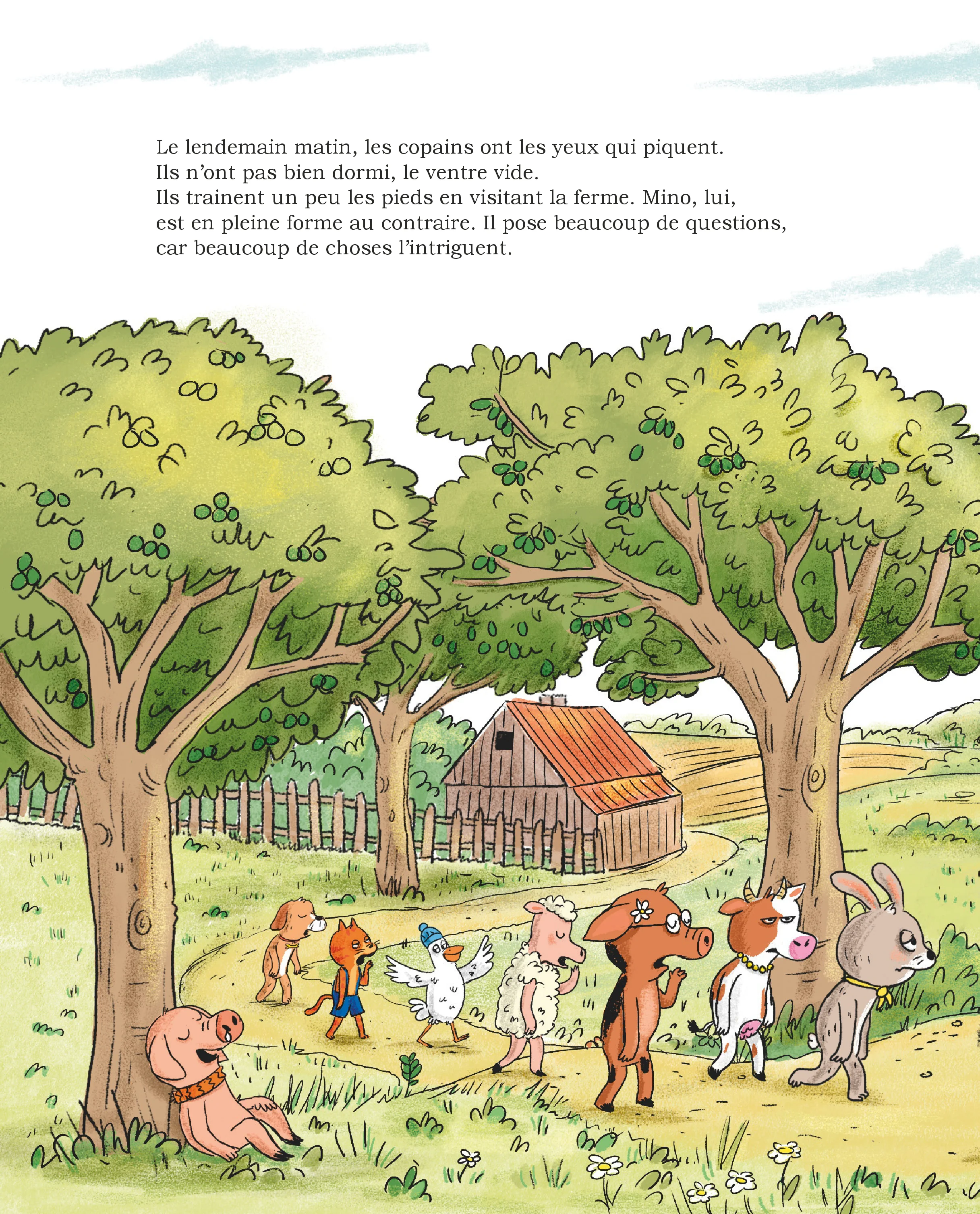 Image du produit 8