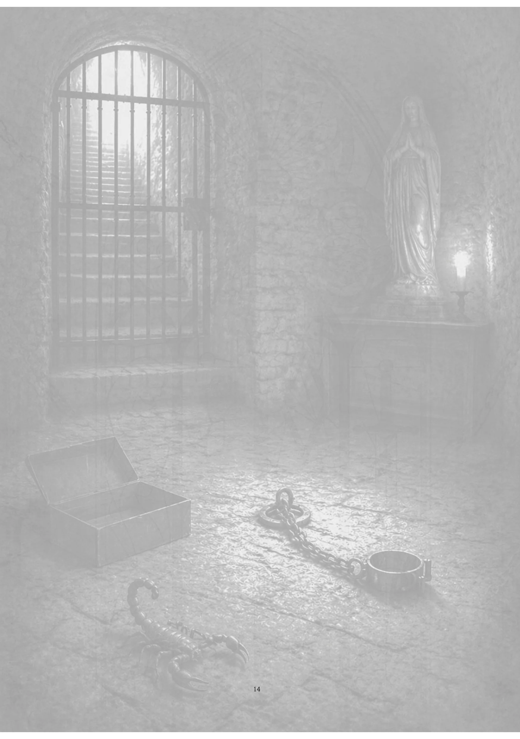 Image du produit 14