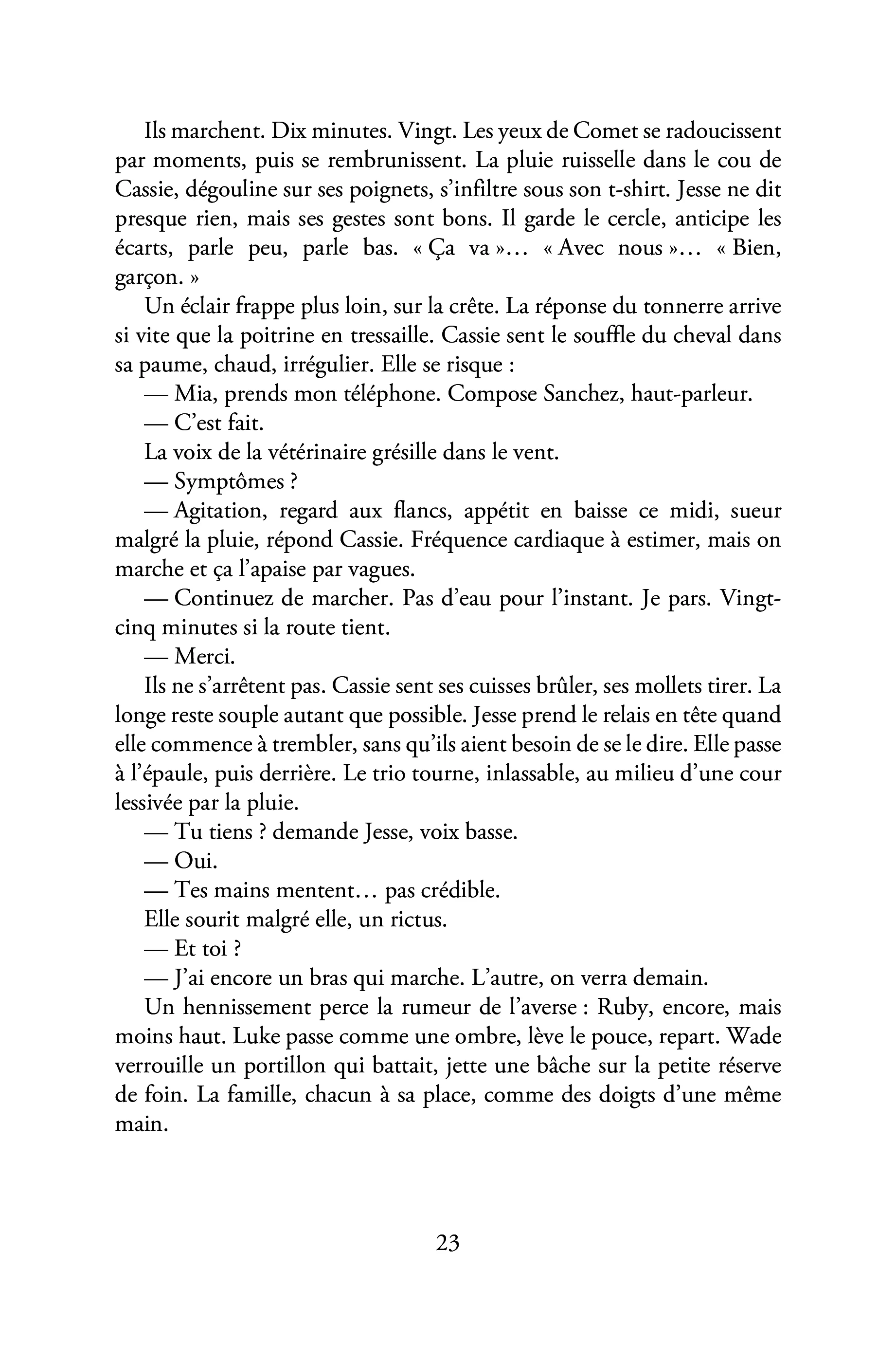 Image du produit 100