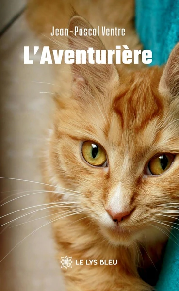 Image du produit 25
