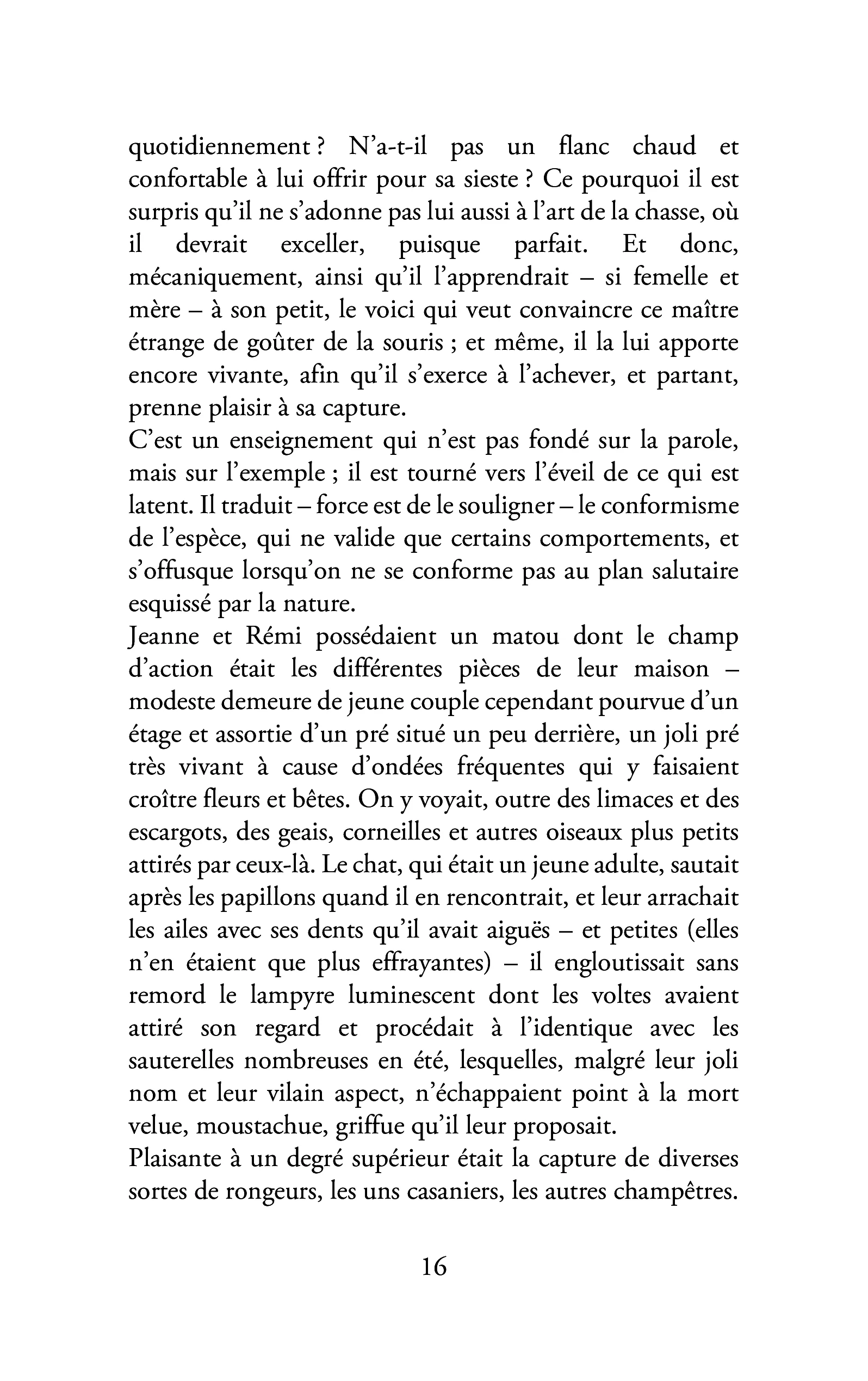 Image du produit 36