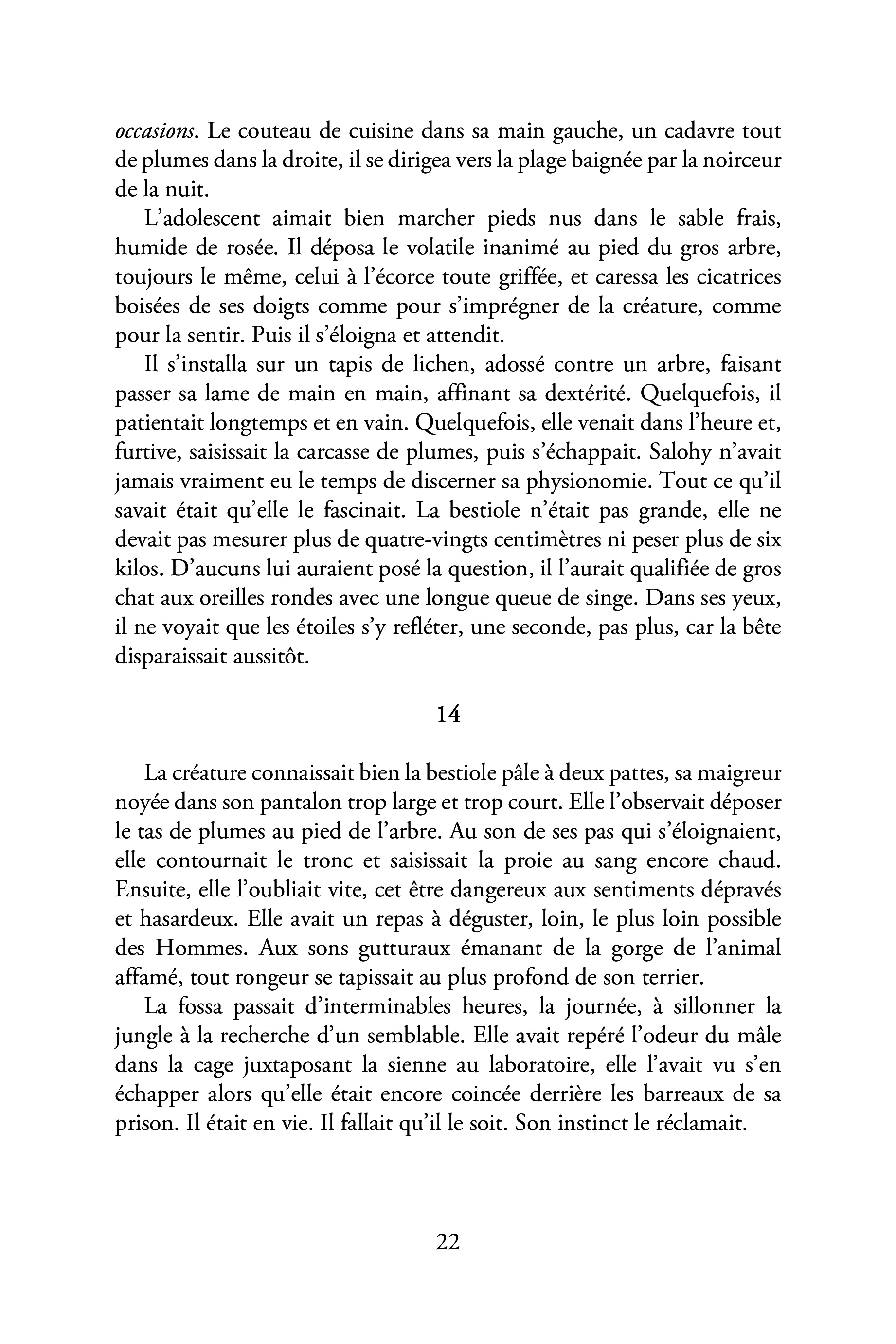 Image du produit 18