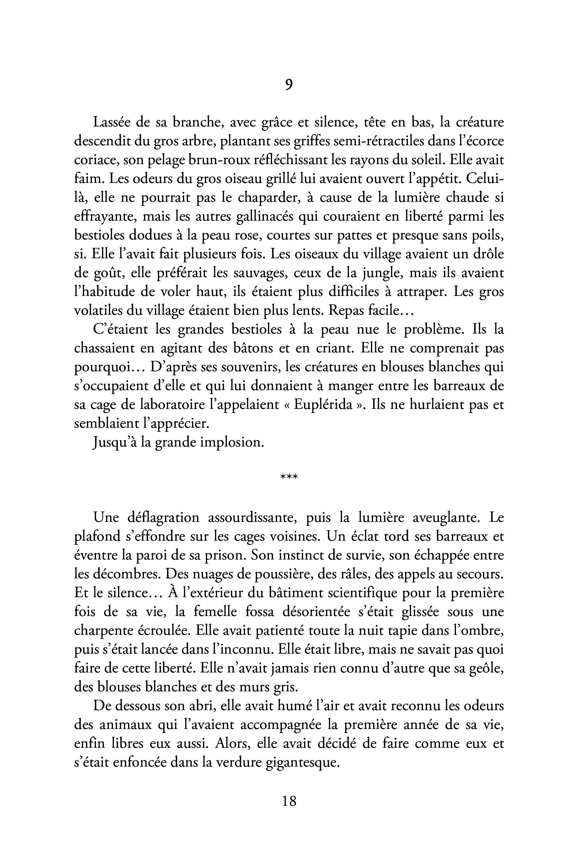 Image du produit 41