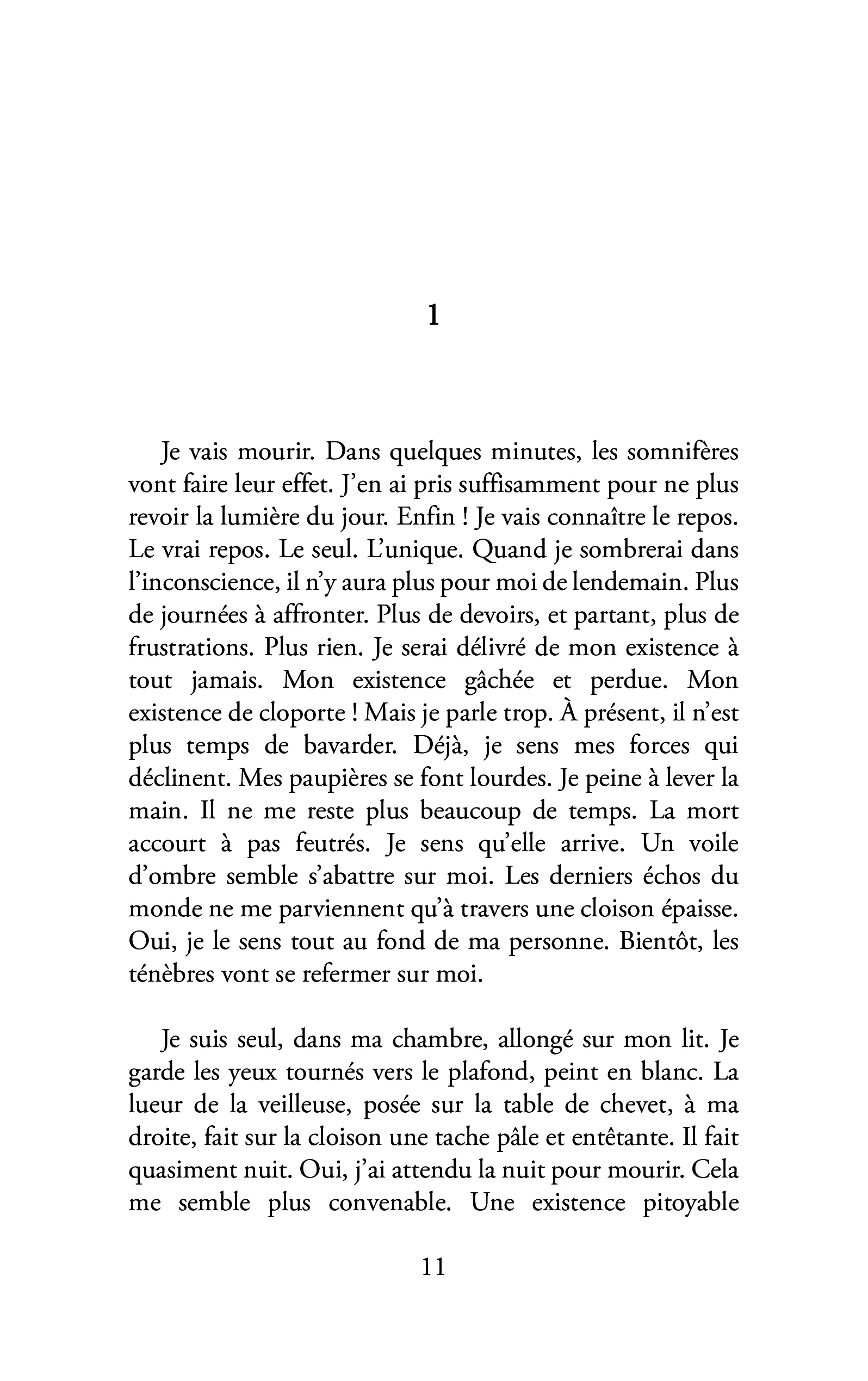Image du produit 19